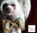 Gold Sequin and Turquoise Brocade Couture Bowtie