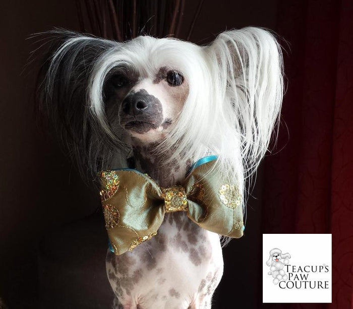 Gold Sequin and Turquoise Brocade Couture Bowtie