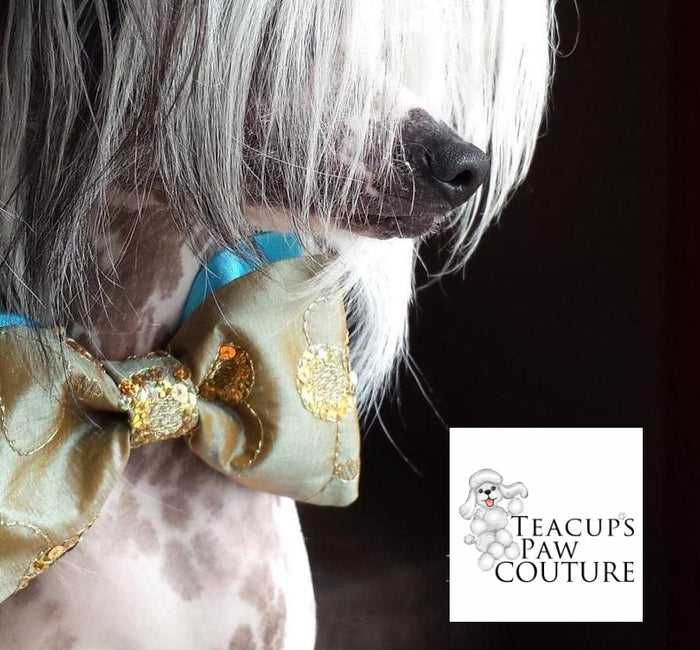 Gold Sequin and Turquoise Brocade Couture Bowtie