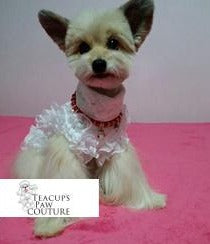 Greta Pawrbo Ruffles and Lace Doggie Dress