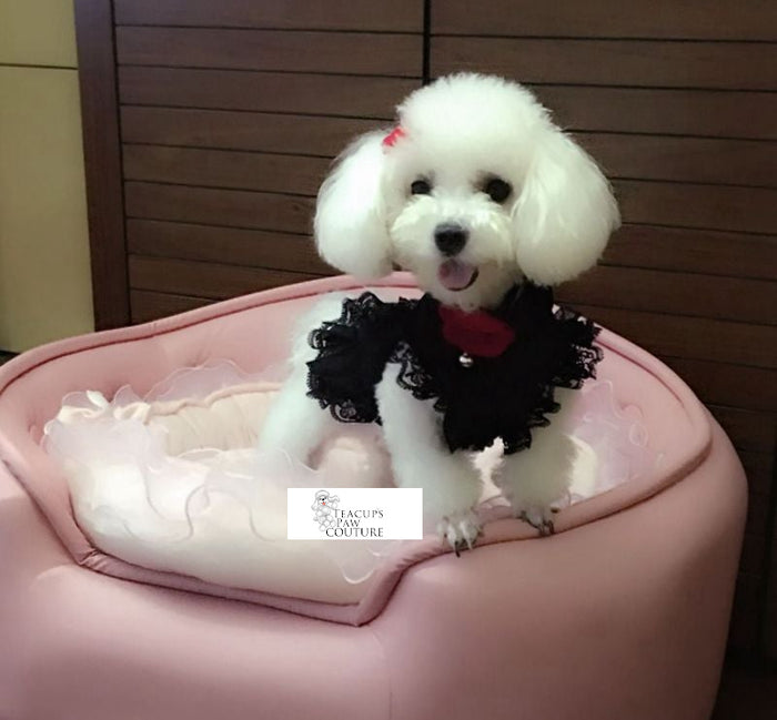 Greta Pawrbo Ruffles and Lace Doggie Dress
