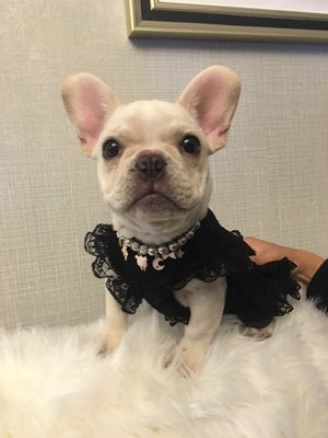 Greta Pawrbo Ruffles and Lace Doggie Dress