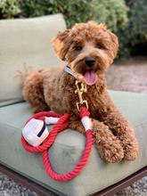 Hot Marine Leash