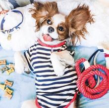 Hot Marine Leash