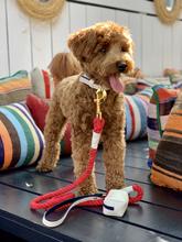 Hot Marine Waste Bag Holder