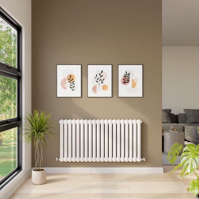 [BHAS003] Huddlesford Horizontal Double Panel Radiator, Choice of Size and Colour