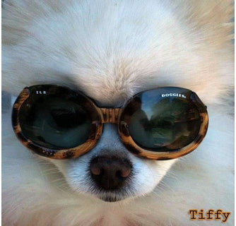 ILS 2 Leopard Frame with Mirror Green Lens