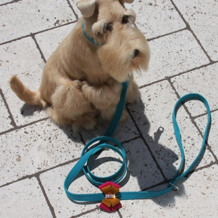 Isabella Leash