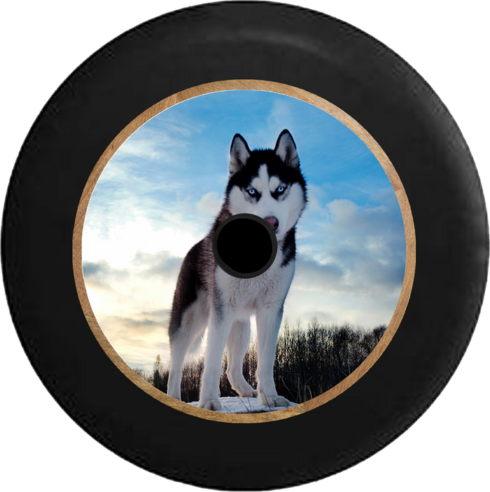 Jeep Wrangler JL Backup Camera Blue Eyed Husky American Dog K9 Wolf Jeep Camper Spare Tire Cover 35 inch R301