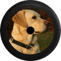 Jeep Wrangler JL Backup Camera Golden Lab Labrador Retreiver Family Loyal Hunting Dog Jeep Camper Spare Tire Cover 35 inch R114