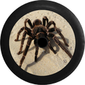 Jeep Wrangler JL Backup Camera Tarantula Spider on Desert Sand Jeep Camper Spare Tire Cover 35 inch R151