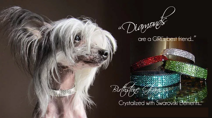 July Birthstone Collar - Ruby