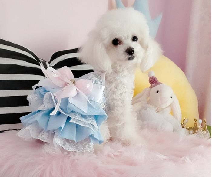 Lace, Lace and Ruffles All Over the Place Doggie Diva Sundress