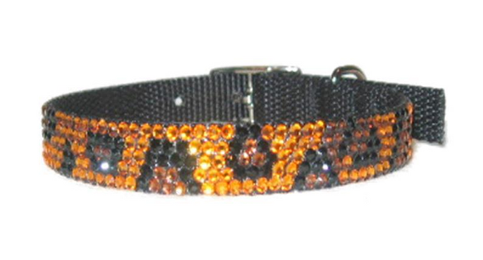 Leopard Urban Jungle Collar