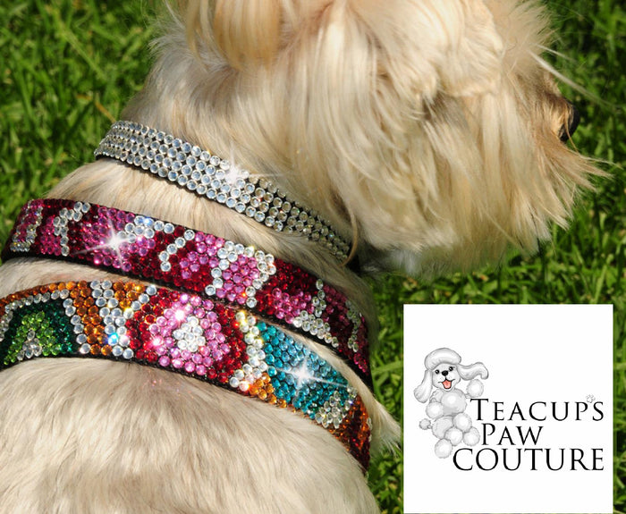 Leopard Urban Jungle Collar