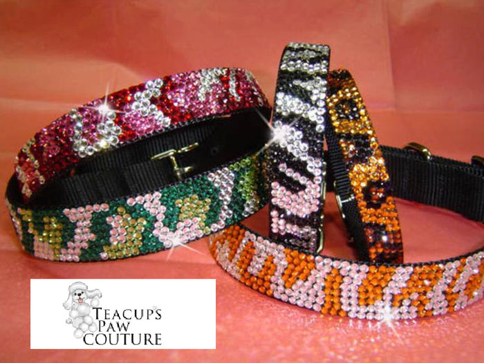 Leopard Urban Jungle Collar