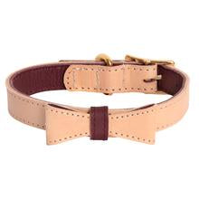 Luscious Bow Collar