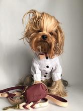 Luscious Bow Collar