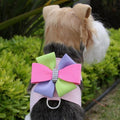Madison Bow Tinkie Harness