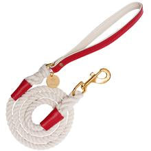 Melting Hearts Leash