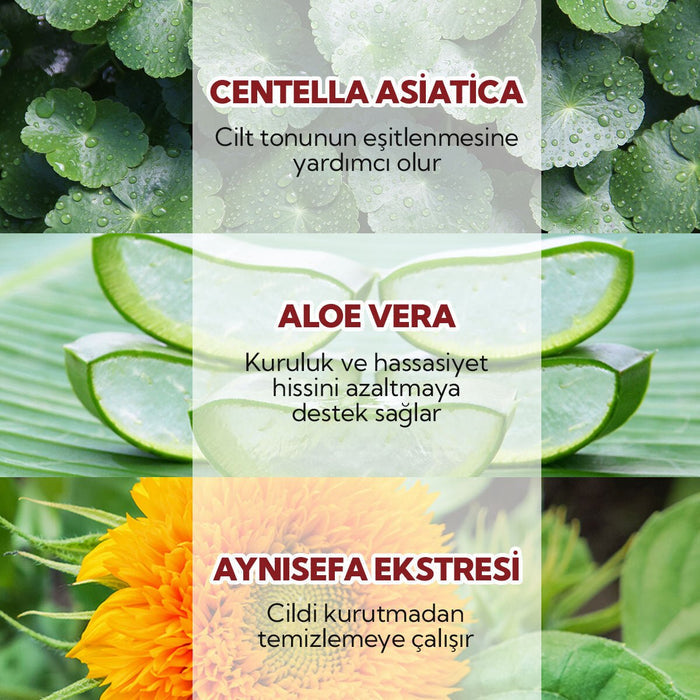 Organic Prebiotic Toner - Pore Minimizing, Brightening & Hydrating - TryAladdin