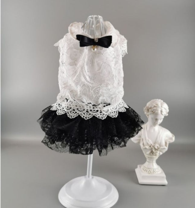 Pawdrey Hepburn Lace Doggie Dress
