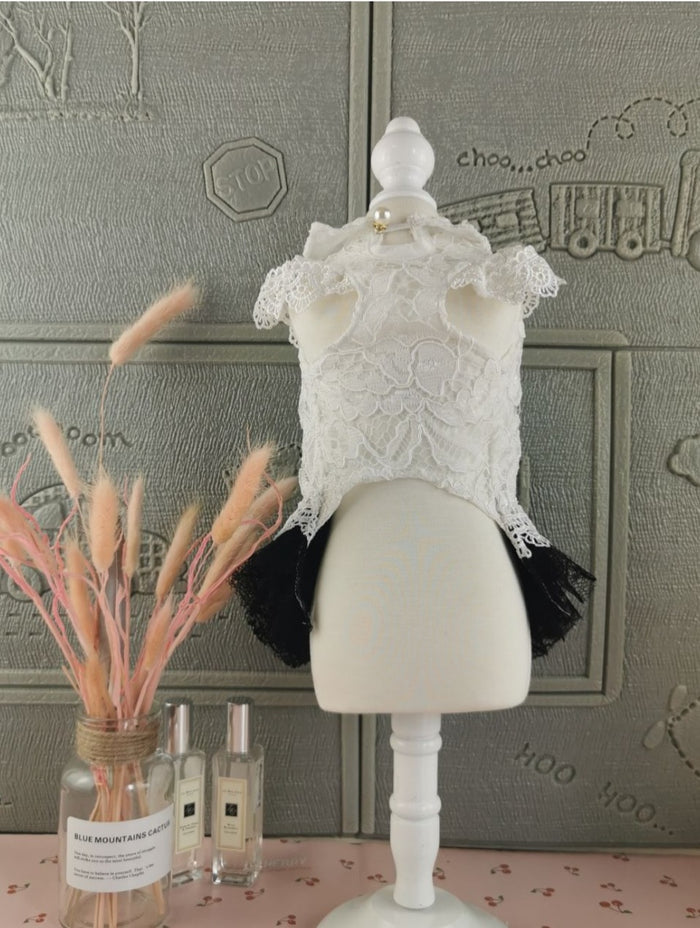 Pawdrey Hepburn Lace Doggie Dress