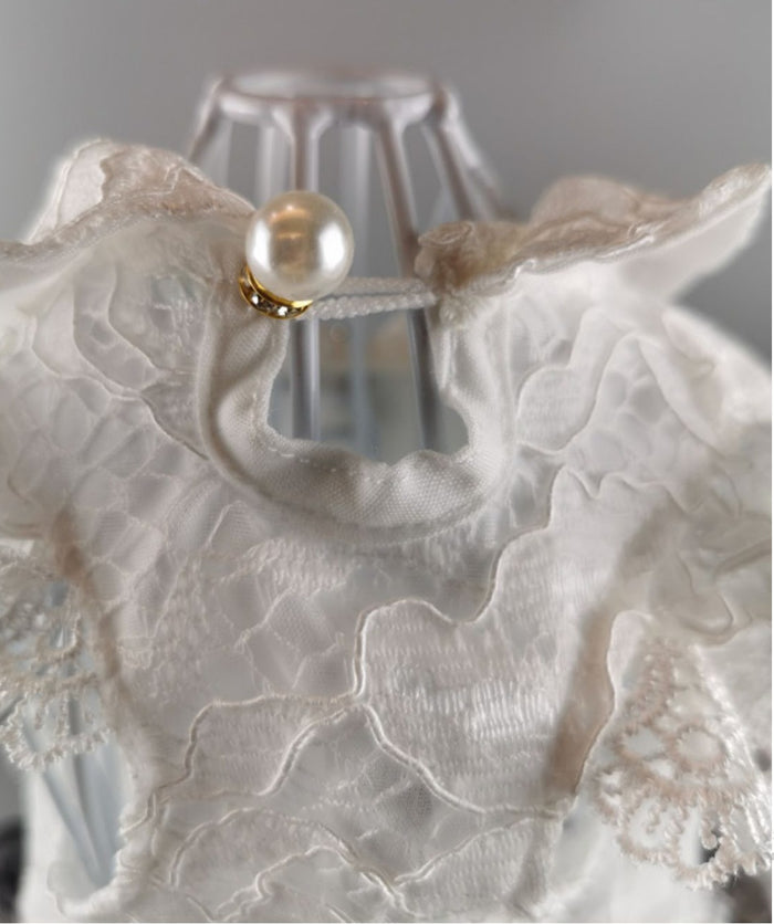 Pawdrey Hepburn Lace Doggie Dress