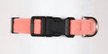 Peaches N Cream Quick Release Collar
