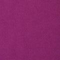 Plum Crazy Solid Leash