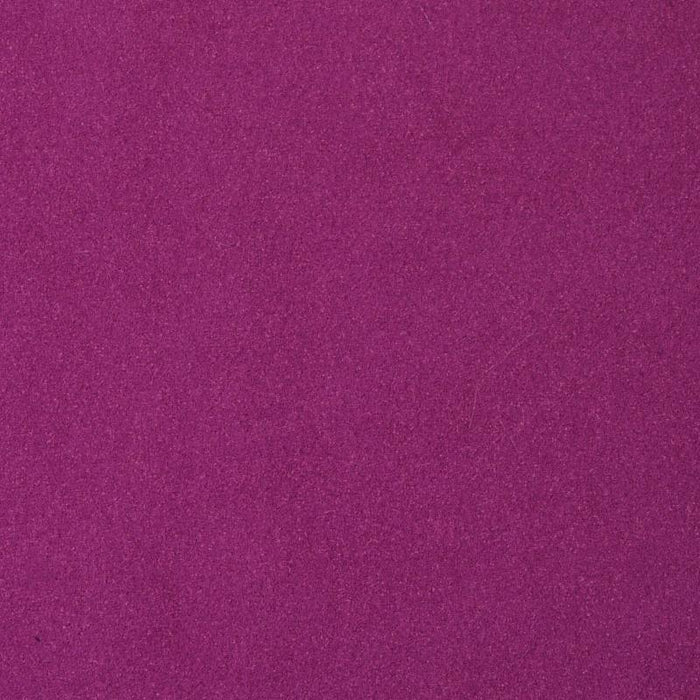 Plum Crazy Solid Leash