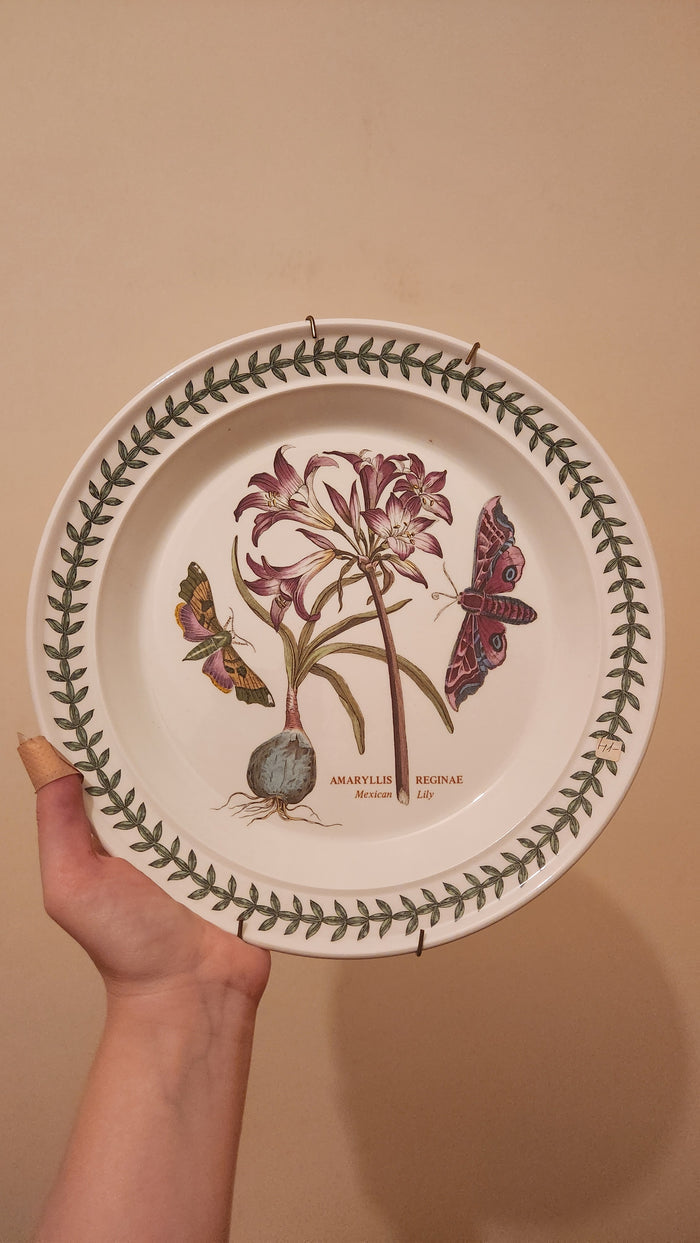 Portmeirion Botanic Garden dinner plate
