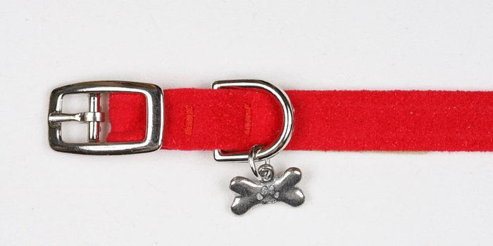Red Collar