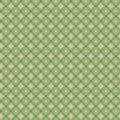 Remnant || Hometown Holiday - Holly - Lettuce - C14909-LETTUCE