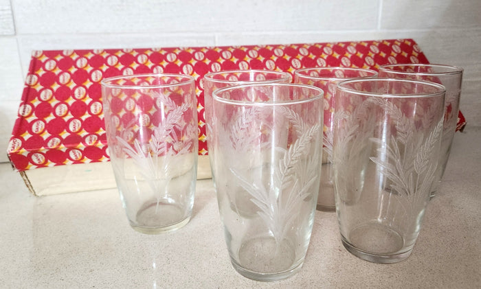 SAIVO Italy Etched Glass Tumblers - Set of 6