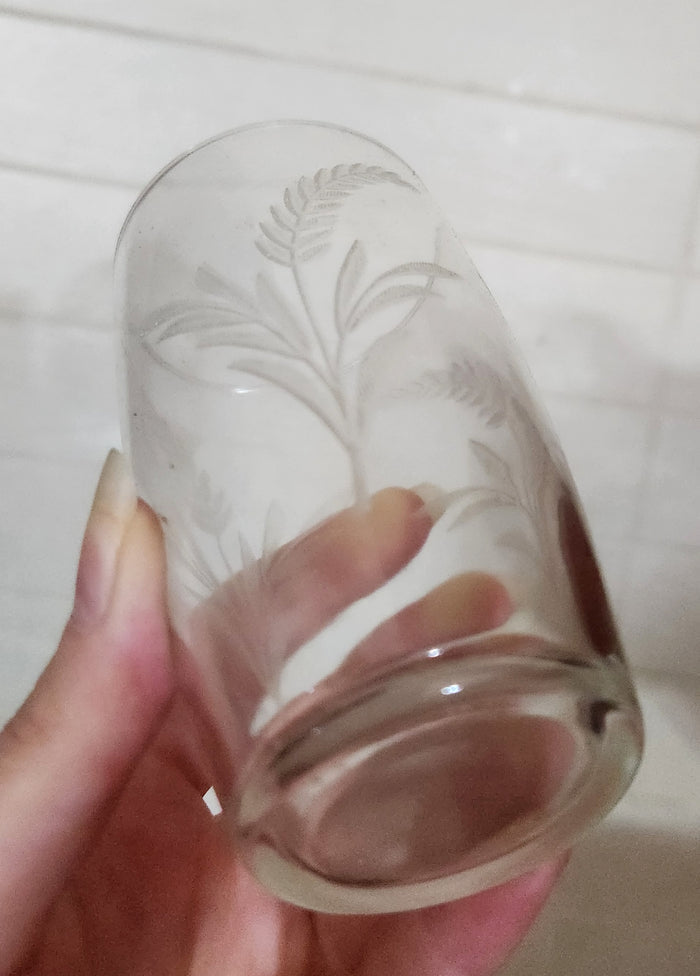 SAIVO Italy Etched Glass Tumblers - Set of 6
