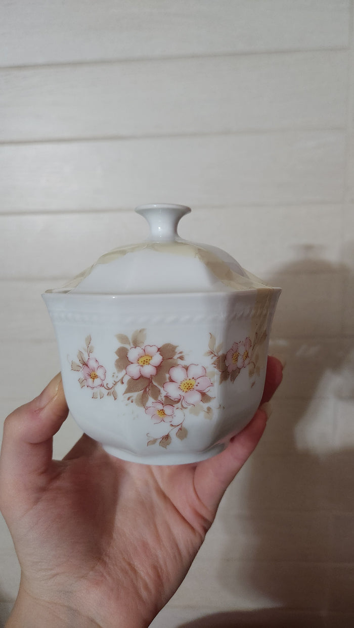Schirnding Bavaria Germany 9-Piece Pink Floral Porcelain Set
