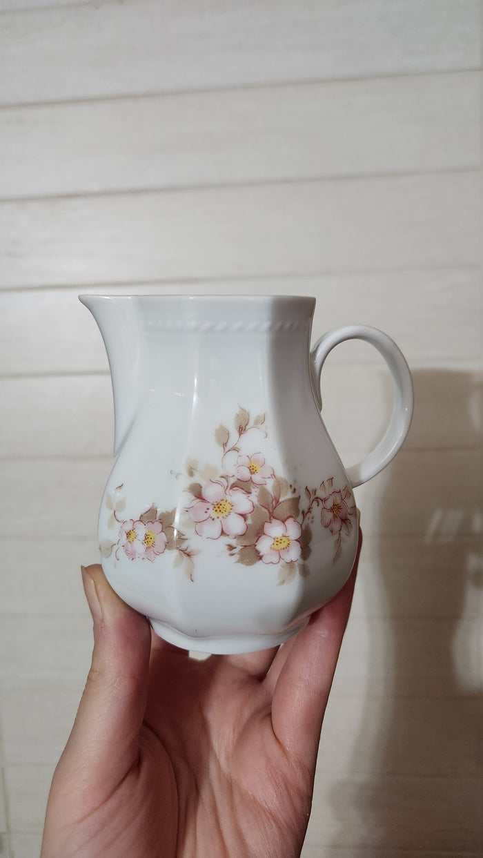 Schirnding Bavaria Germany 9-Piece Pink Floral Porcelain Set