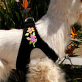 Secret Garden Step In Harness