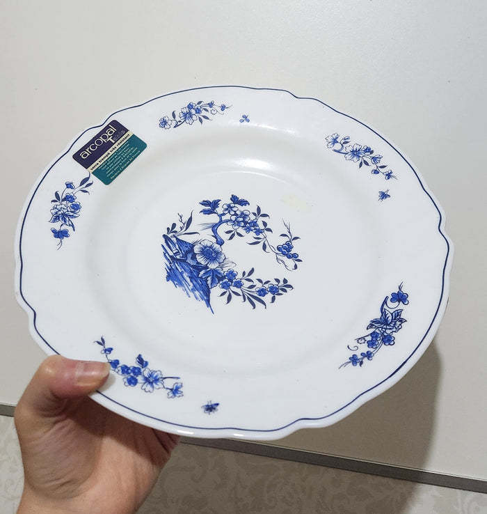 Set of 2 Vintage Arcopal Milk Glass Dinner plates (29 cm)