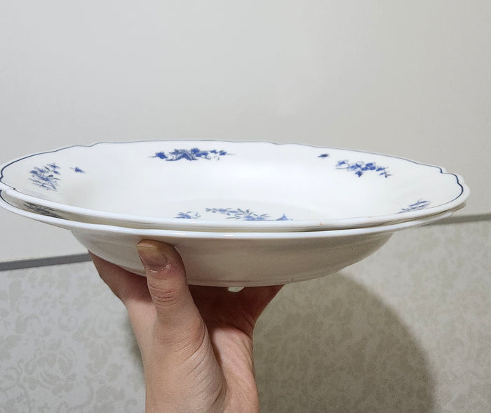 Set of 2 Vintage Arcopal Milk Glass Dinner plates (29 cm)