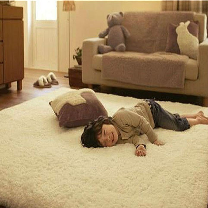Super Soft Lamb Modern Shag Area Rug - EK CHIC HOME