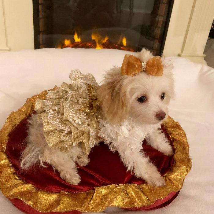 Sweet Pea's Fleur de Perle Dress