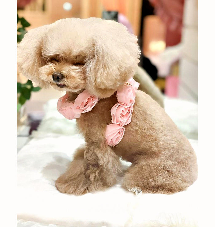Sweet Roses Harness