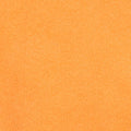 Tangerine Solid Leash
