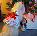 Teacup's Christmas Dress
