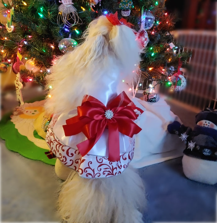 Teacup's Christmas Dress