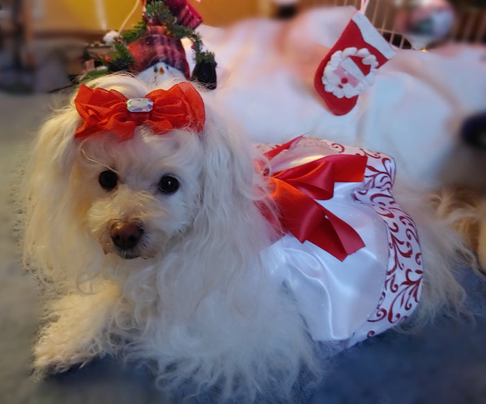 Teacup's Christmas Dress