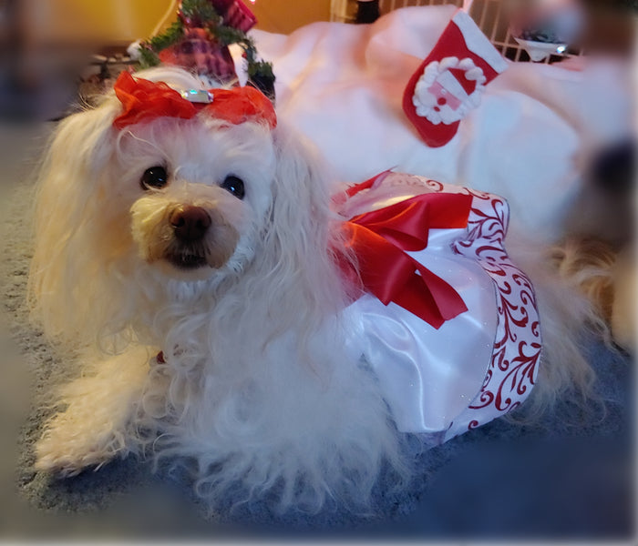 Teacup's Christmas Dress