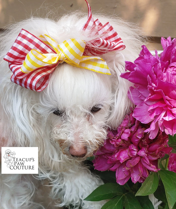 Teacup's Gingham Doggie Hair Bow